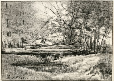 Pool i Adirondacks af Frederick Eugene Bartlett