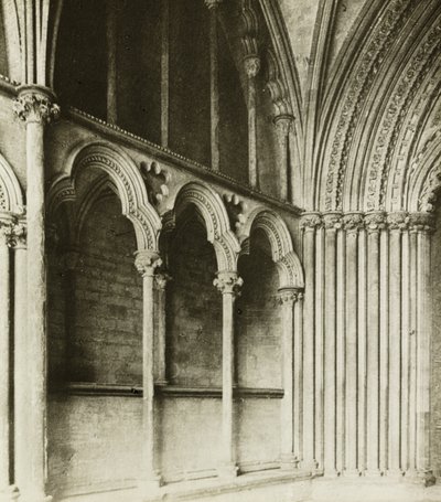 Katedralen i Ely: Galilea-verandaen, detaljer af Frederick H. Evans