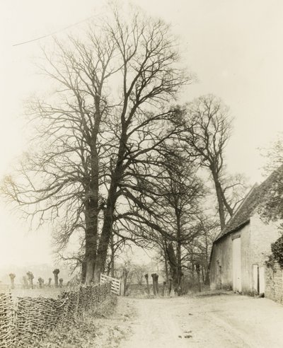 Kelmscott Manor: Vej og indgang af Frederick H. Evans