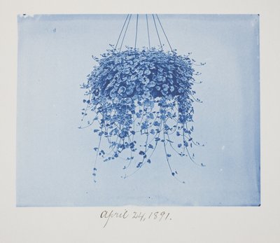 Uden titel, 24. april af Frederick K. Coulson