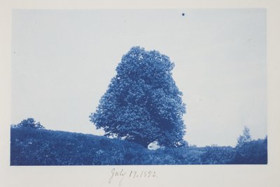 Uden titel, 19. juli af Frederick K. Coulson
