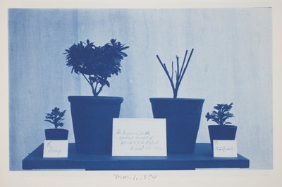Uden titel, 1. marts af Frederick K. Coulson