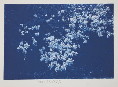 Uden titel, 25. maj af Frederick K. Coulson