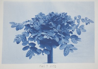 Uden titel, 9. oktober af Frederick K. Coulson