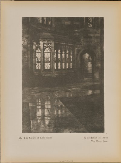 Refleksionernes domstol af Frederick M. Bush