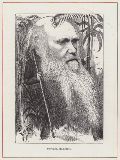 Charles Darwin, Naturlig Udvælgelse af Frederick Waddy