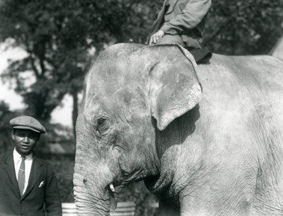 En burmesisk elefant med sin træner og en anden mand, London Zoo, september 1926 af Frederick William Bond