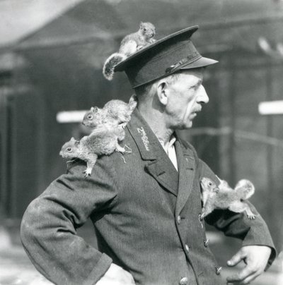 En andenklasses vogter med fire unge grå egern, der klatrer på sin uniformshat og jakke, London Zoo af Frederick William Bond