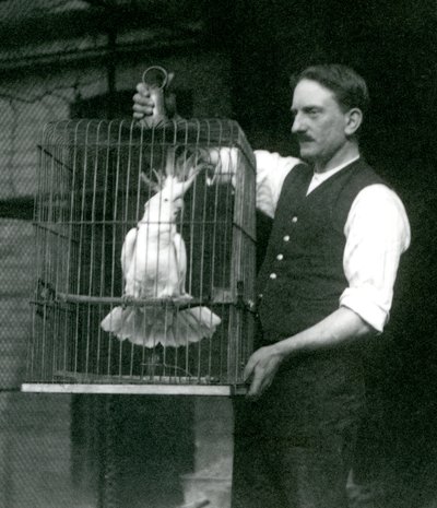 En målmand holder en Sulphur Crested Cockatoo, Jade, i sit bur i London Zoo i oktober 1924 af Frederick William Bond