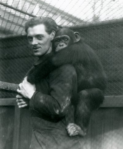 En mand bærer chimpansen Sally på ryggen, London Zoo, 1924 af Frederick William Bond