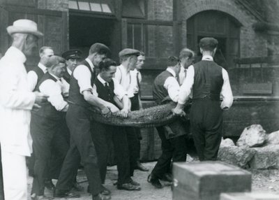 Et hold mænd bærer en alligator, der overvåges af Sir Peter Chalmers Mitchell, London Zoo, 1924 af Frederick William Bond