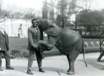 En ung afrikansk pygmæelefant står på bagbenene for at omfavne sin afrikanske træner, mens målmanden ser på, London Zoo, juli 1925 af Frederick William Bond