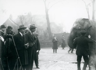 En indisk elefant, muligvis Sundermalah, der deltager i en ekstern udsendelse fra London Zoo, 1925 af Frederick William Bond