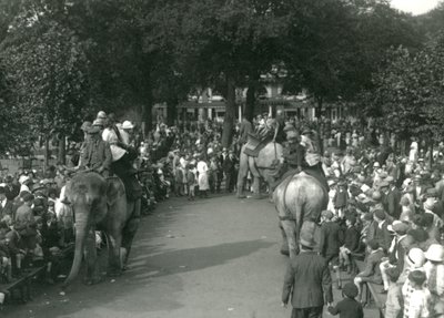 Elephant Rides, med tre asiatiske elefanter set af skarer af tilskuere i London Zoo i august 1926 (s/h foto) af Frederick William Bond