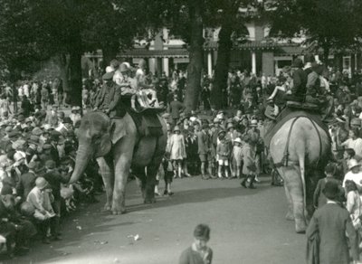 Elephant Rides, med to asiatiske elefanter set af skarer af tilskuere i London Zoo i august 1926 (s/h foto) af Frederick William Bond