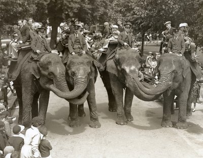 Elefantridning i London Zoo, juli 1936 af Frederick William Bond