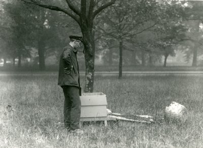 Keeper Brown flytter en sværm af honningbier, London Zoo, juli 1926 af Frederick William Bond