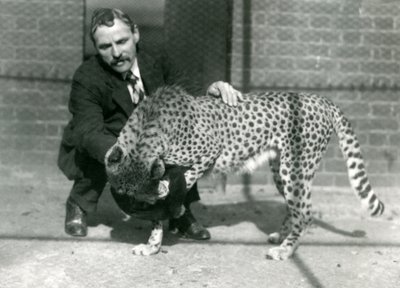Keeper Charles Dixon med en legende gepard i London Zoo, oktober 1922 af Frederick William Bond