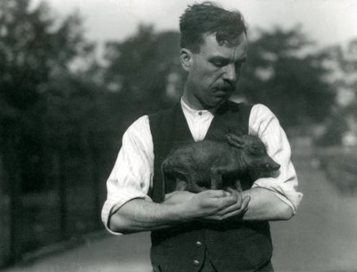 Keeper Harry Warwick vugger et vortesvin i sine arme i London Zoo, august 1922 af Frederick William Bond