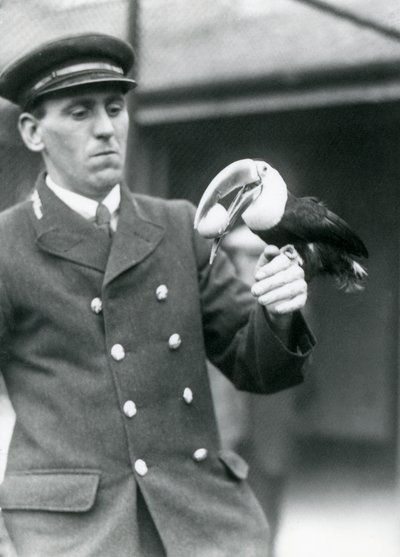 Vagtmester Thomas Raggett holder en rødnæbbet tukan med et æg i munden i London Zoo i 1924 af Frederick William Bond