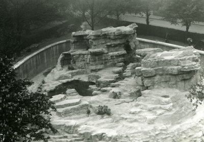 Monkey Hill