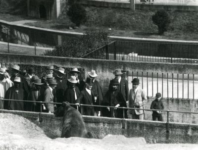 Sir Peter Chalmers Mitchell, sammen med den etiopiske regent Haile Selassie og hans følge, mens de ser en brunbjørn på Mappin Terraces, London Zoo, 1924 af Frederick William Bond