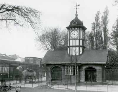 Kamelhuset. London Zoo af Frederick William Bond