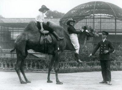 To Cowgirls poserer på en baktrisk kamel, som holdes af dens vogter, under et besøg i London Zoo i 1924 af Frederick William Bond