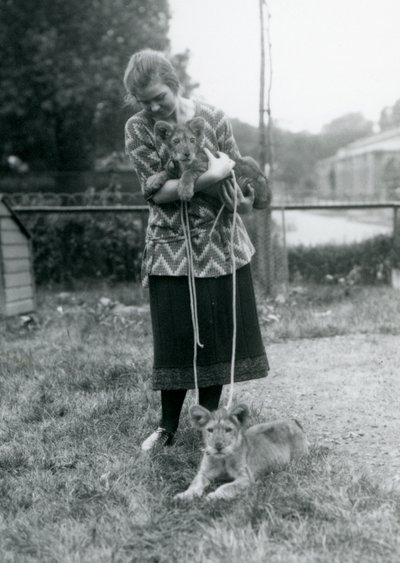 To løveunger med en ung kvinde i London Zoo i august 1925 af Frederick William Bond