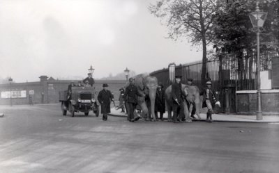 At gå et par elefanter fra havnen i 1923 til ZSL London Zoo, sidste gang dette nogensinde blev gjort af Frederick William Bond