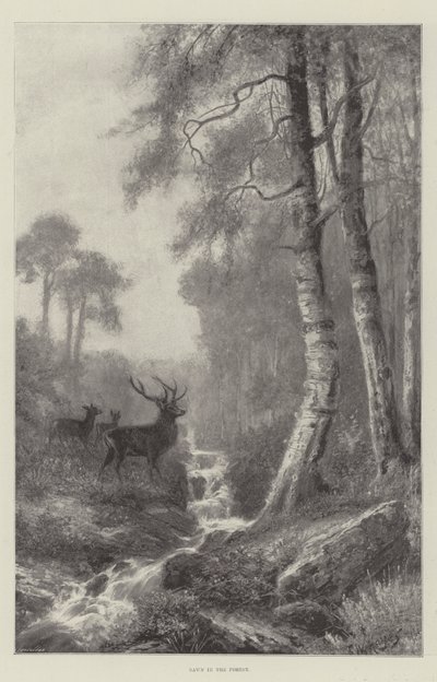 Daggry i Skoven af Frederick William Hayes