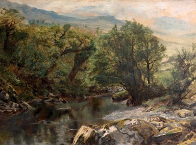 Pool i Colwyn, North Wales af Frederick William Hayes