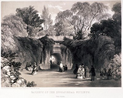 Zoologisk have, Regent