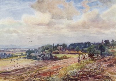 Sulten Grafton af Frederick William Newton Whitehead