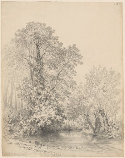 Træer ved floden ved Castle Bromwich af Frederick William Watts