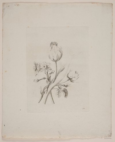 Blomstermotiv af Frederik Schepelern