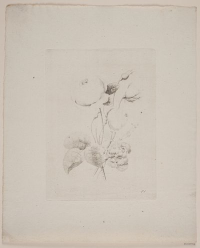 Blomstermotiv af Frederik Schepelern