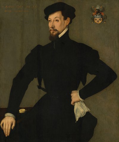 Portræt af et medlem af Quaratesi-familien af French 16th Century