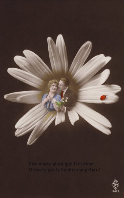 Et ungt par i midten af en blomst med mariehøne (tonet fotocollage) af French Photographer