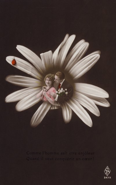 Et ungt par i midten af en blomst med mariehøne (tonet fotocollage) af French Photographer