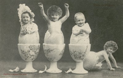 Babyer, der klækker fra æg i æggebægre (s/h-billede) af French Photographer