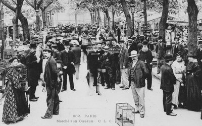 Fuglemarked, Paris af French Photographer