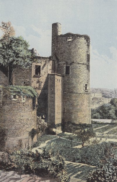 Clisson, Towers og pit af French Photographer