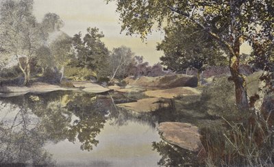 Fontainebleau, Skov, Mare de Franchard af French Photographer