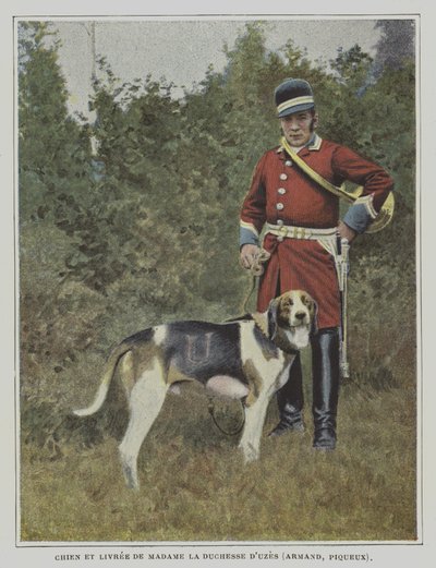 Hund og jæger i bemaling af jagten på hertuginden af Uzes, Frankrig (farvefoto) af French Photographer