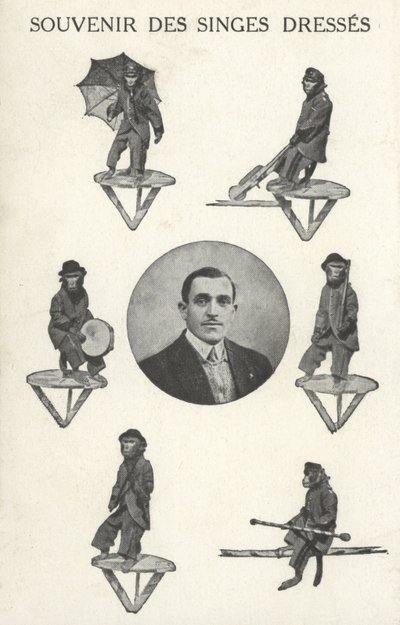 Abe i kostume af French Photographer