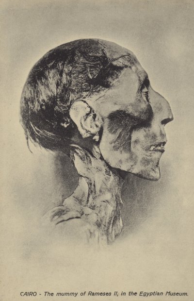 Mumie af Ramses II af French Photographer