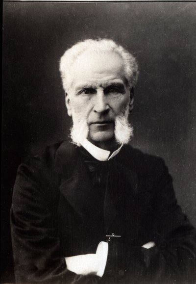 Portræt af Aime Joseph Edmond Rousse (1817-1906), fransk advokat. af French Photographer