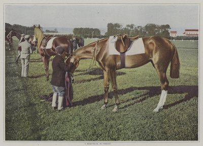 Væddeløbsheste i Deauville, Frankrig (farvefoto) af French Photographer