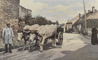 Saulieu, Et problem i Morvan af French Photographer